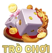Biểu tượng Câu hỏi thường gặp